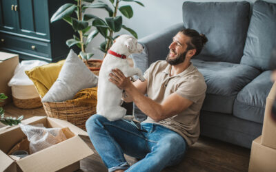 Smart Moving Tips for Homeowners With Pets