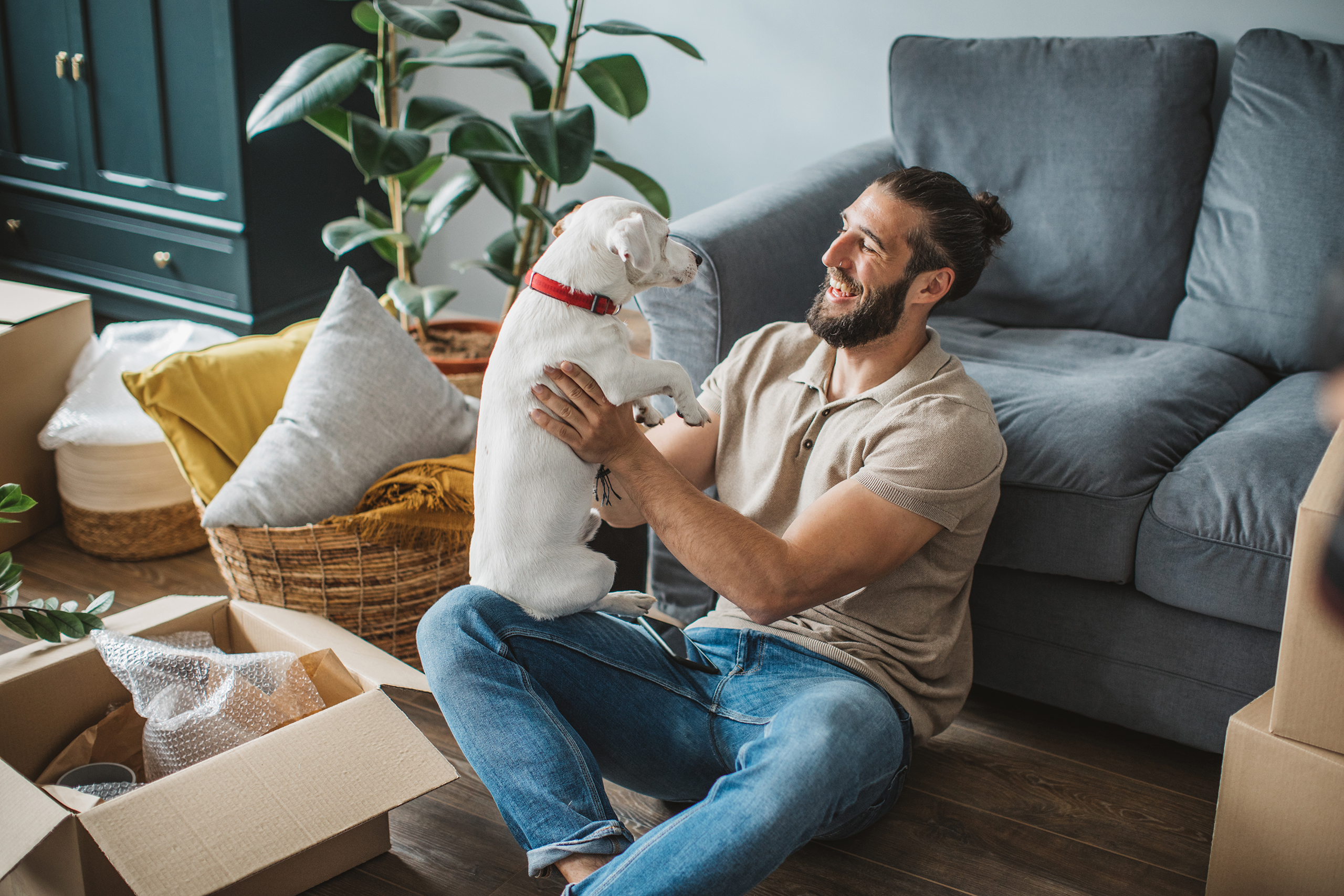 Smart Moving Tips for Homeowners With Pets