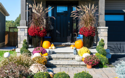 Low-Cost Ways to Boost Fall Curb Appeal