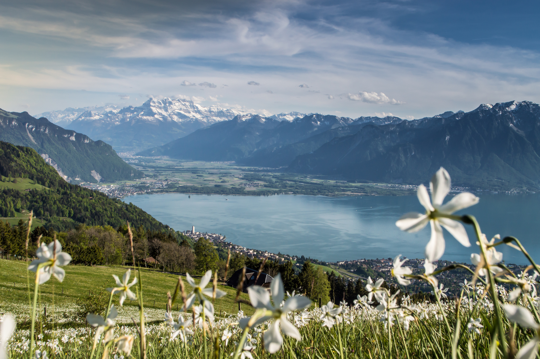Coldwell Banker Around the World: June 2025