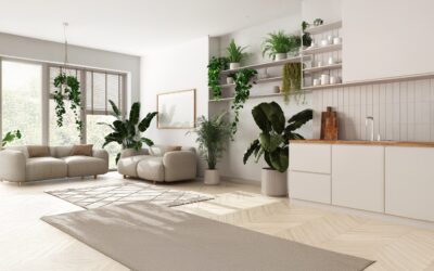 Sustainable Home Features Today’s Buyers Want