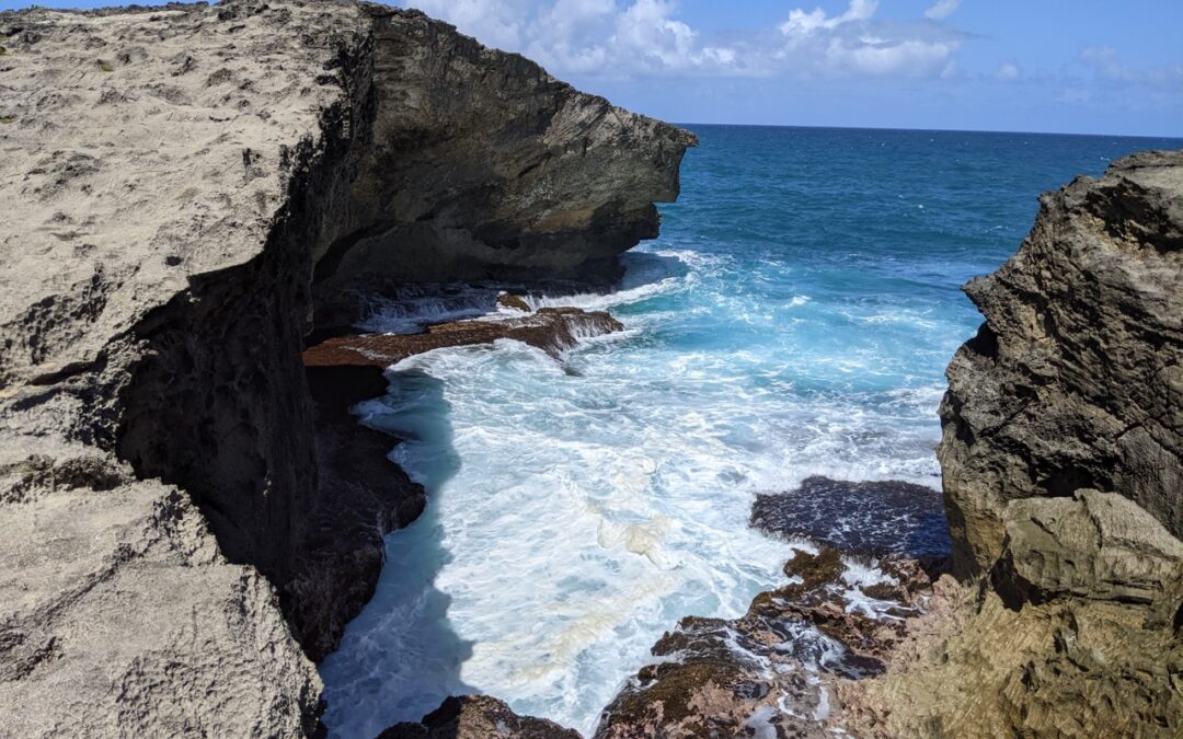 Coldwell Banker Around the World: August 2025