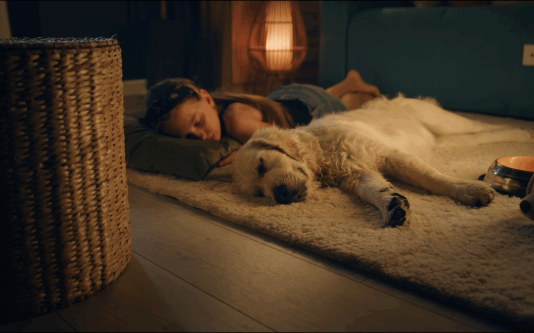 Coldwell Banker Real Estate Unveils “Live Well With Coldwell,” a Campaign Celebrating a Better Way to Find Home