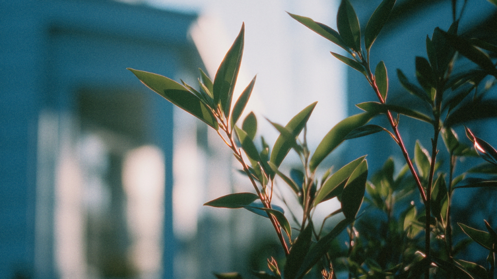 RE Market Pulse - Week of April 6, 2026